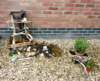 therectorynorthfieldlane_small.jpg