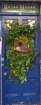 runnerupchildren25piltonstreet_small.jpg