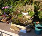 winnergarden3raleighlawn_small.jpg