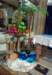 flowerdisplaytropicalworldbysuebuttonshawinpiltonchurch_small.jpg