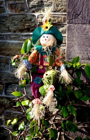 nancysscarecrow.jpg