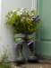 welliesalbum12_small.jpg