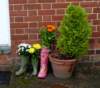 welliesalbum19_small.jpg