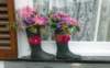 welliesalbum1_small.jpg