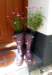 welliesalbum23a_small.jpg
