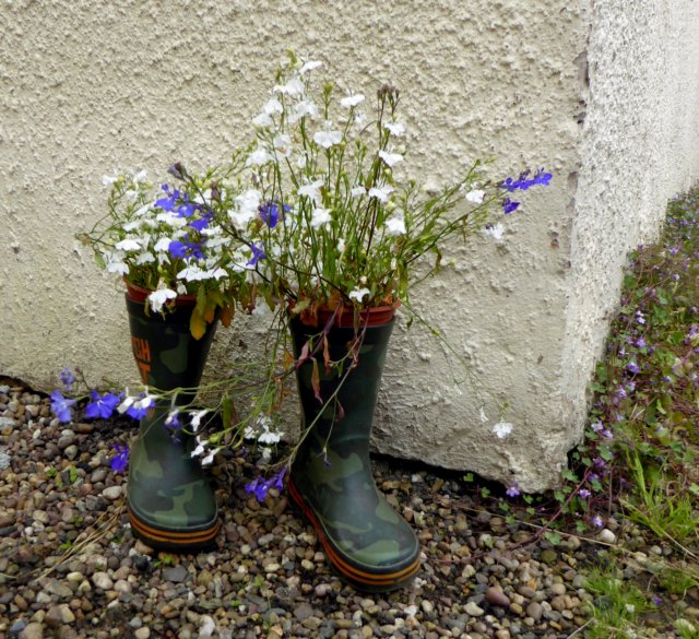 welliesalbum9.jpg