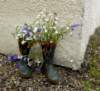 welliesalbum9_small.jpg