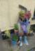 p1050878fb_small.jpg