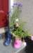 p1050915fb_small.jpg