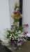 p1060108fb_small.jpg